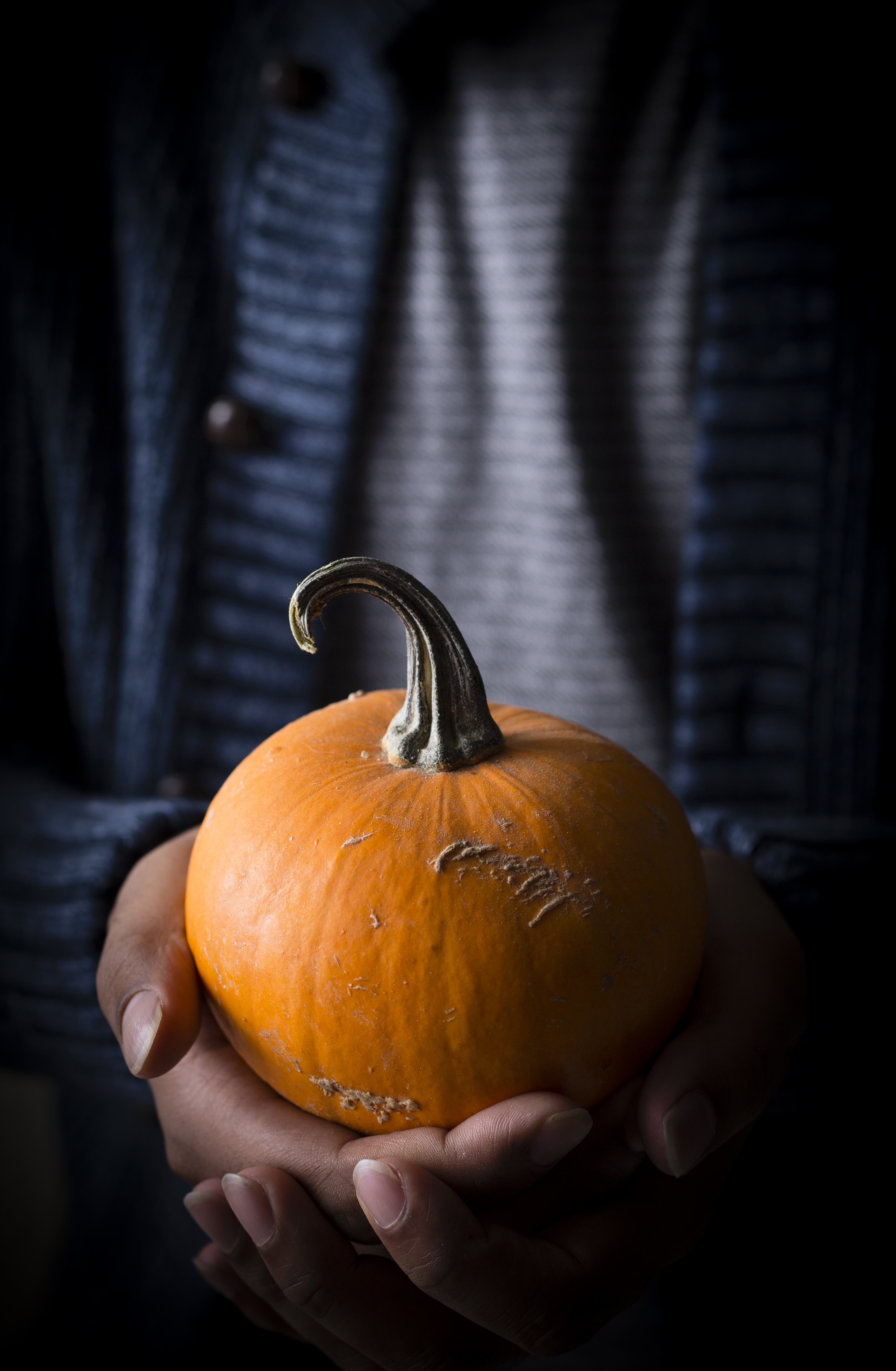 Still Life Photography - Dark And Moody