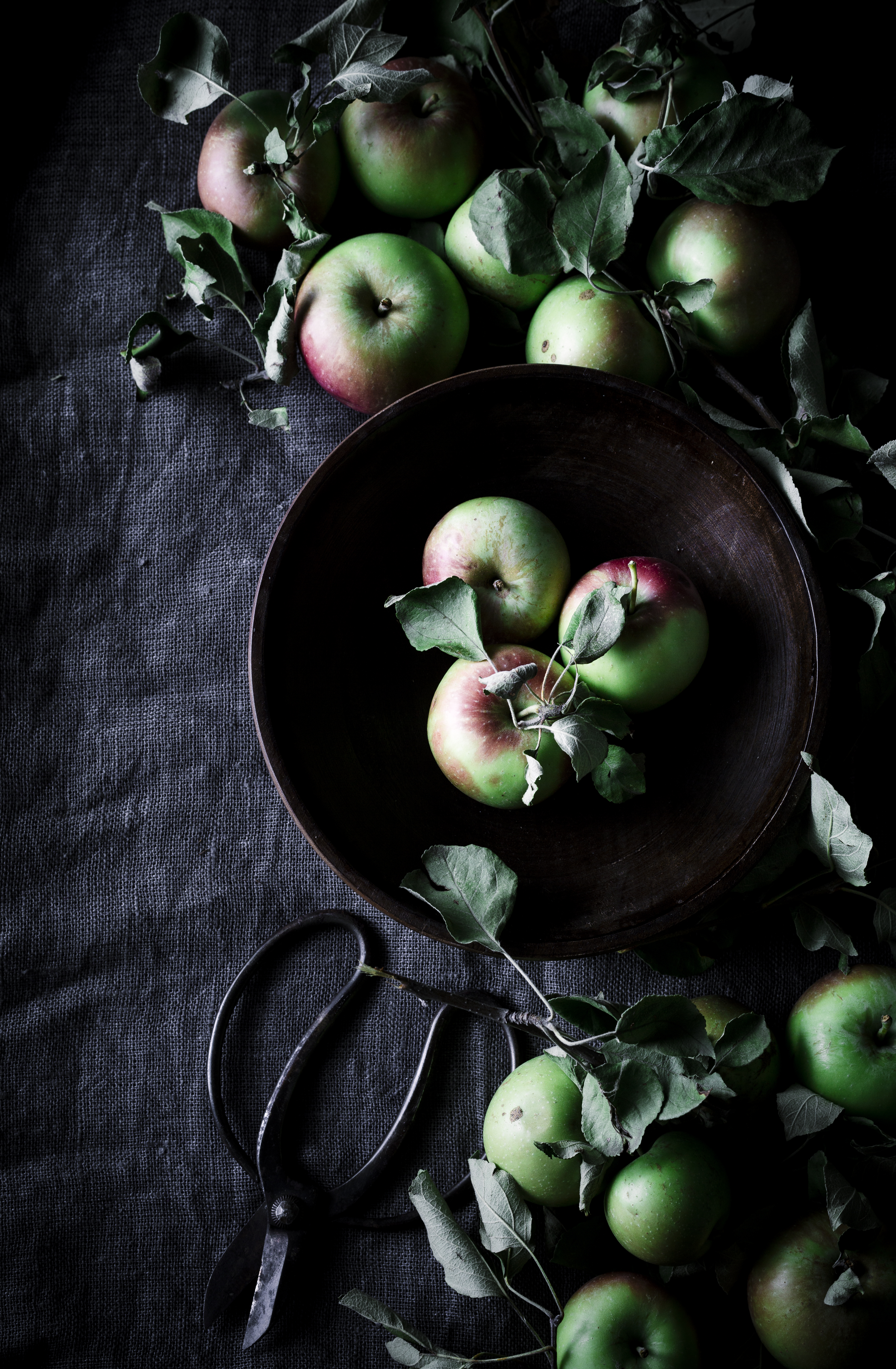 APPLES STILL LIFE