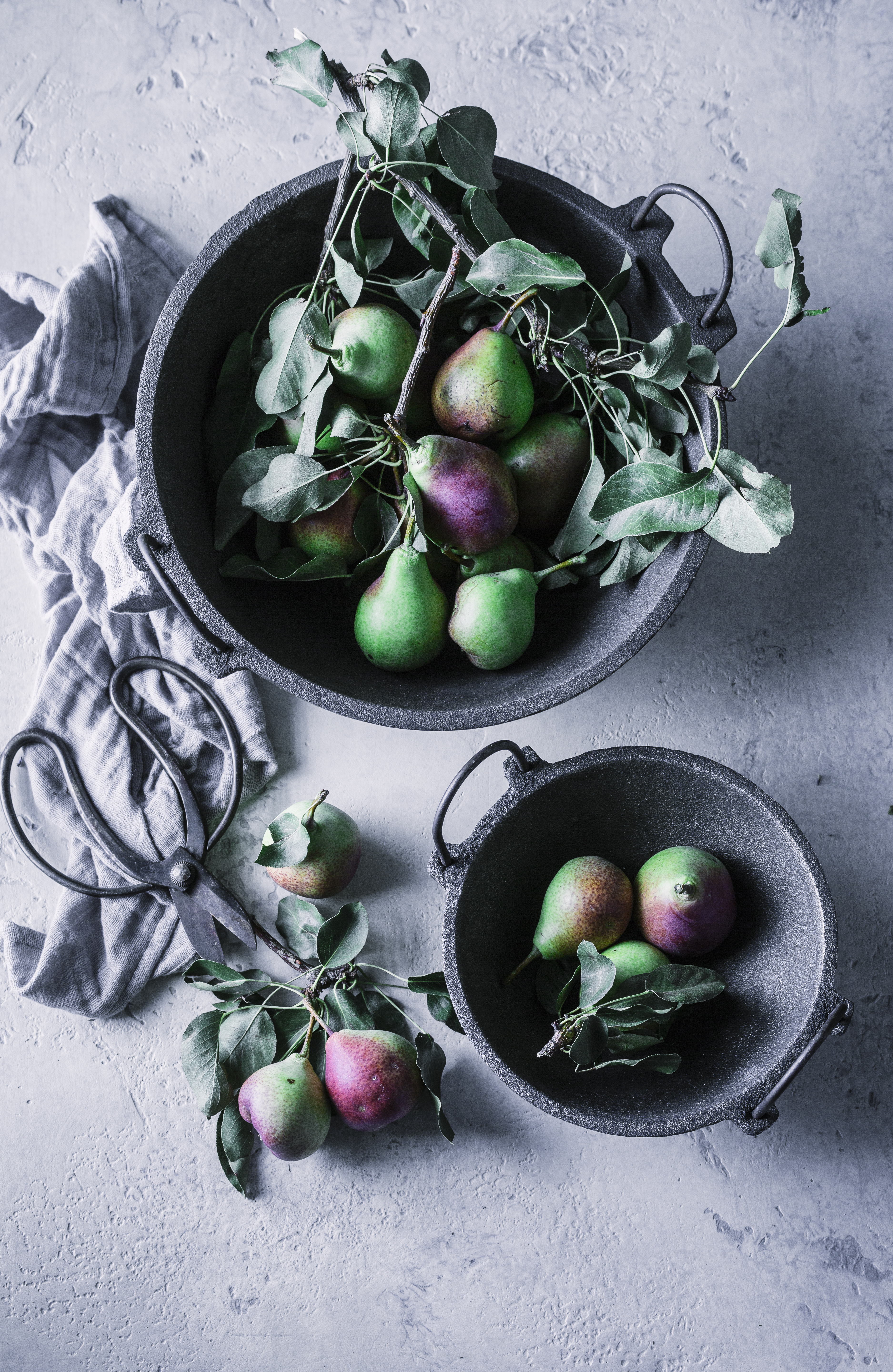 PEARS STILL LIFE