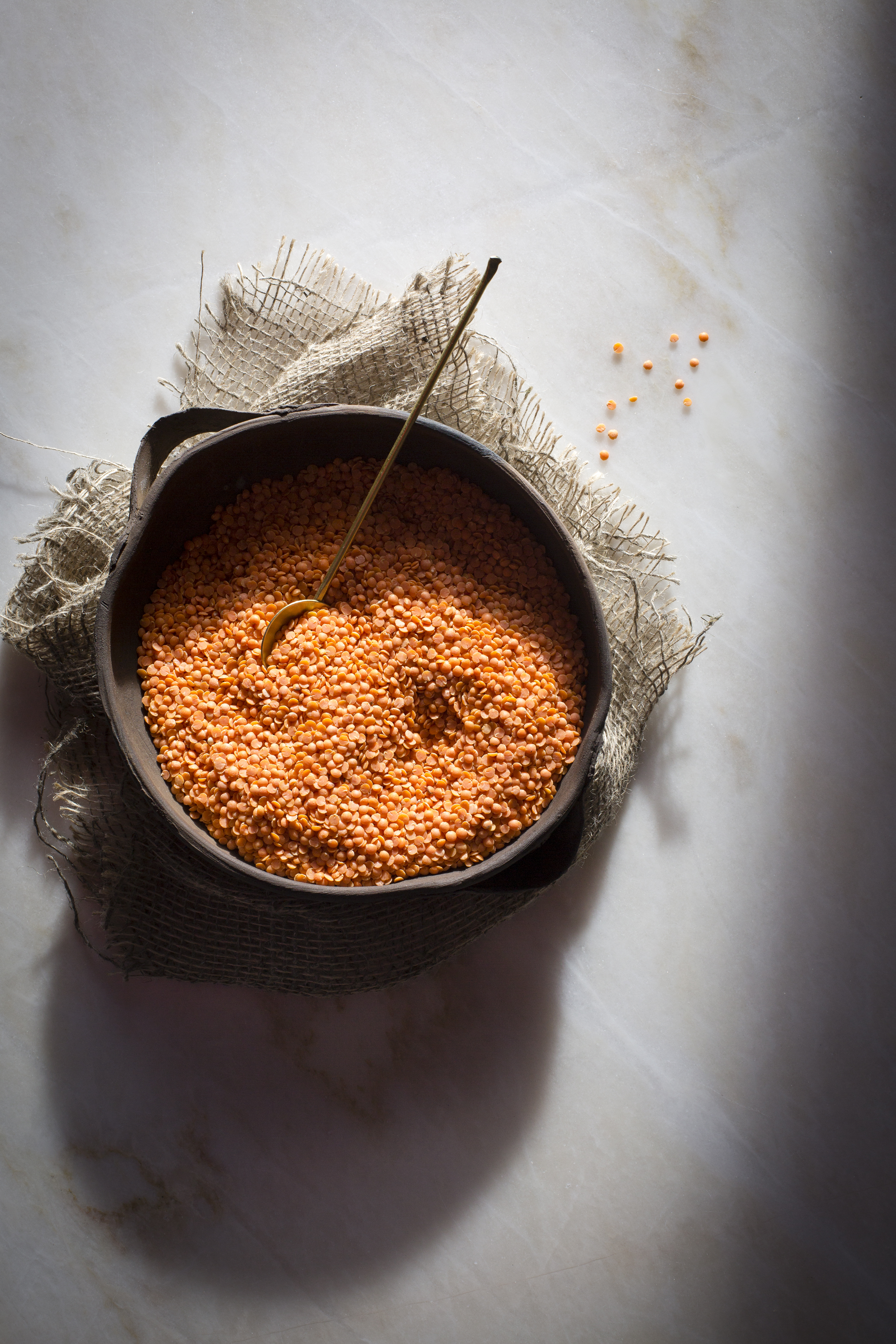 STILL LIFE - LENTILS