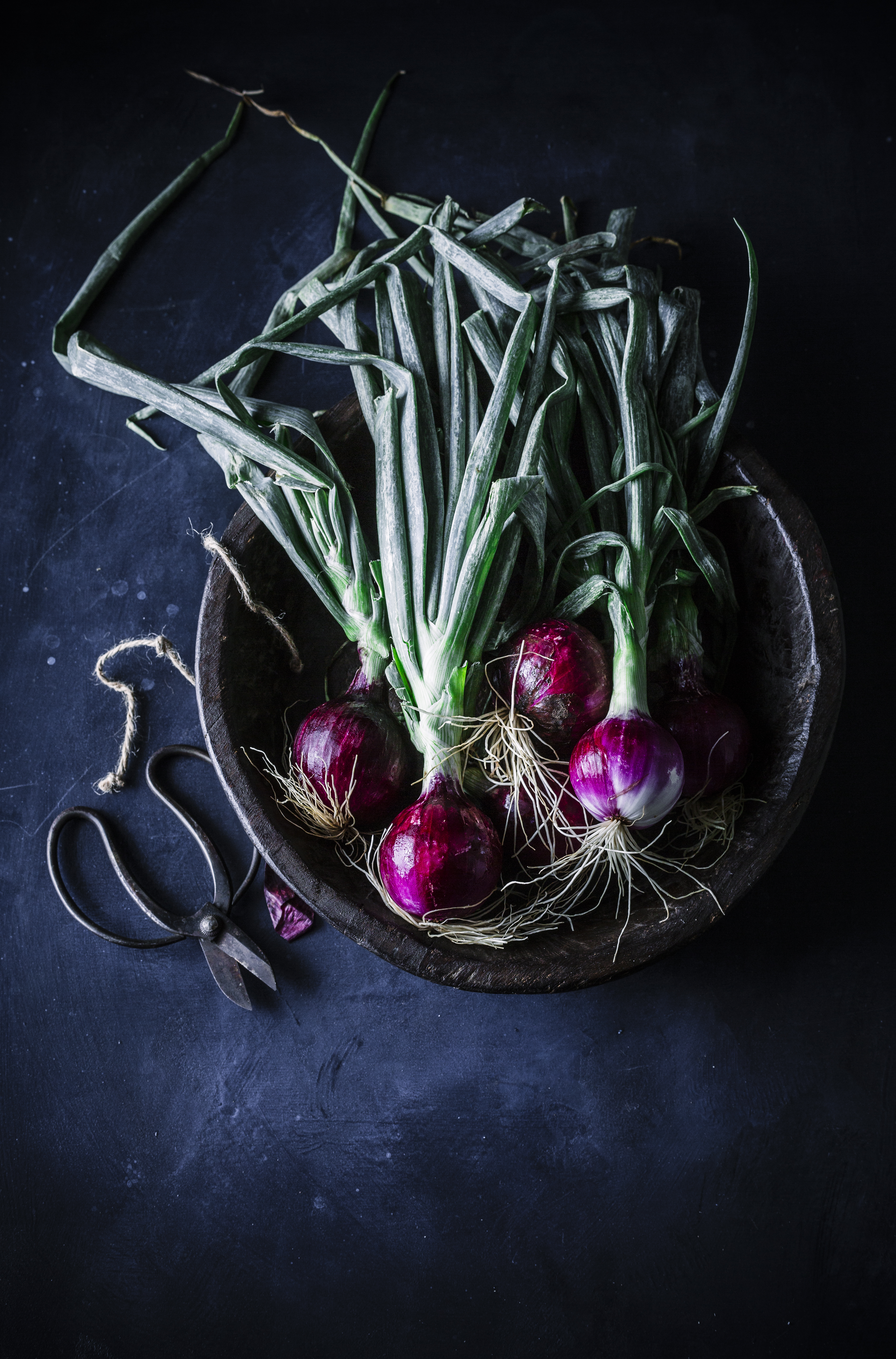 SPRING ONIONS